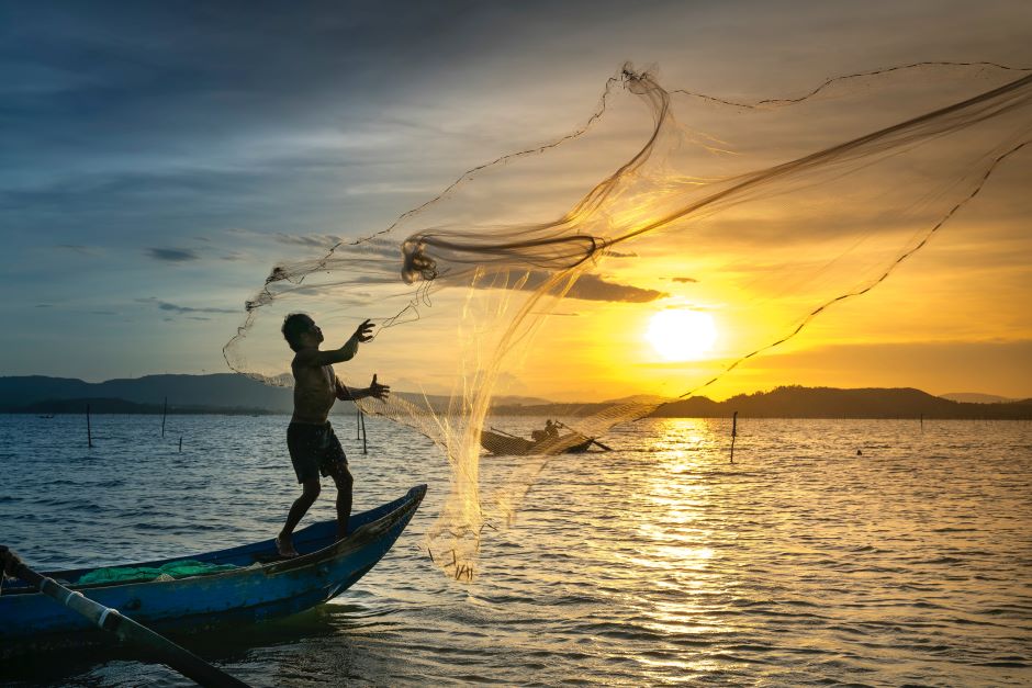 A person casting a net off of a boat into the water (Environmental Impacts of Fishing)