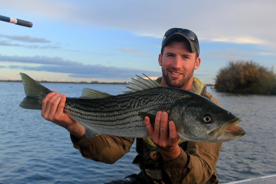 USGS researcher holding striped bass