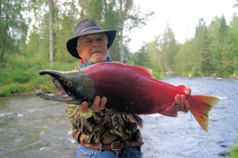 Man holding a sockeye salmon (salmon knowledge)