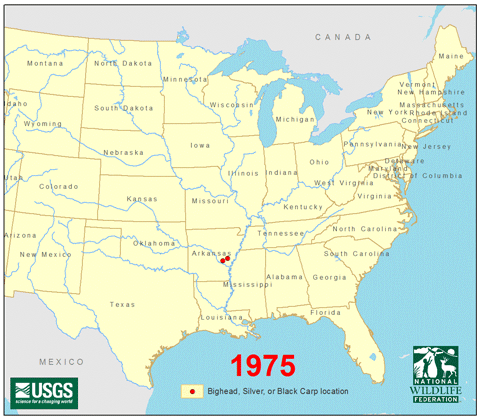 A map depicted the spread of Asian carp from 1975-2011 (Credit: USGS and NWF)