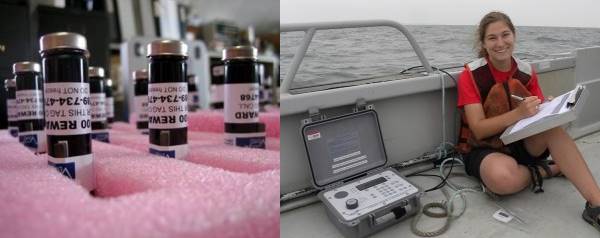 Students in Stone Lab’s Research Experience for Undergraduates Scholarship Program have worked with the Ohio Department of Natural Resources on tracking fish in Lake Erie for about six years. (Credit: Ohio Sea Grant)