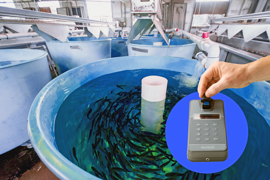 recirculating aquaculture systems