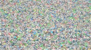 thousands of plastic water bottle in the ocean